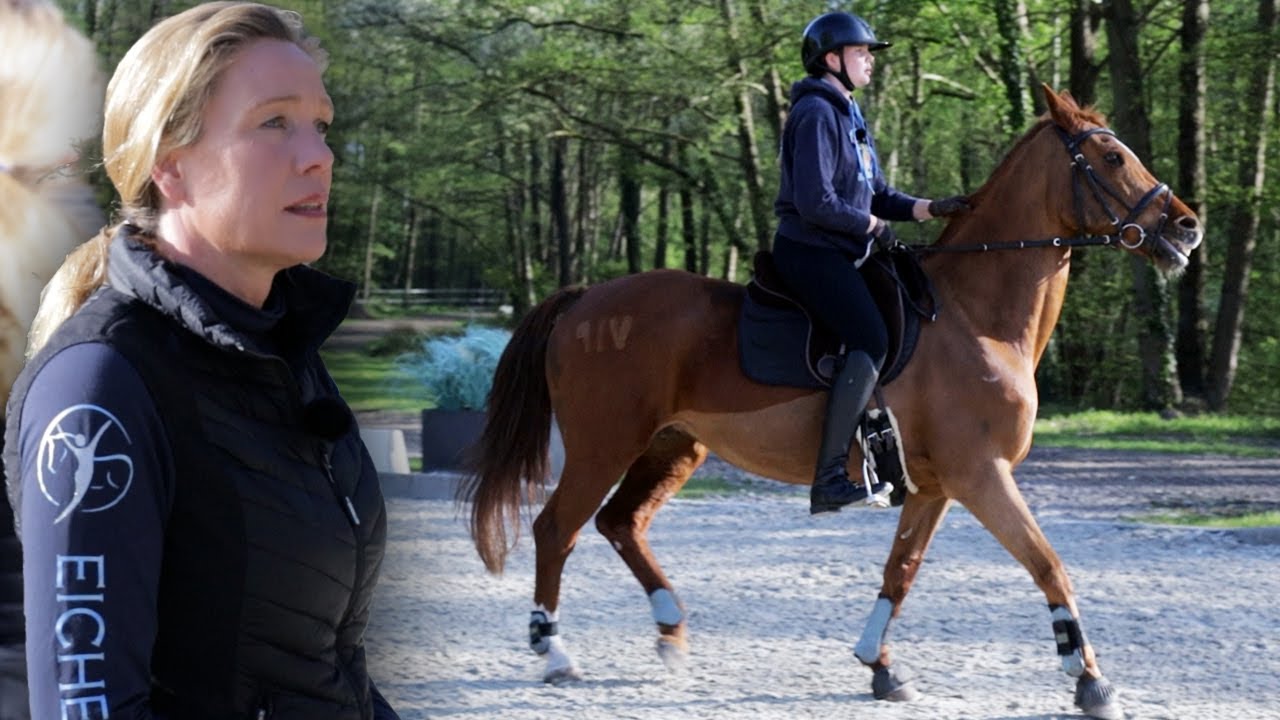 Stute steht unter Dauerstrom &ndash; Entspanntes reiten auf hibbeligem Pferd m&ouml;glich?