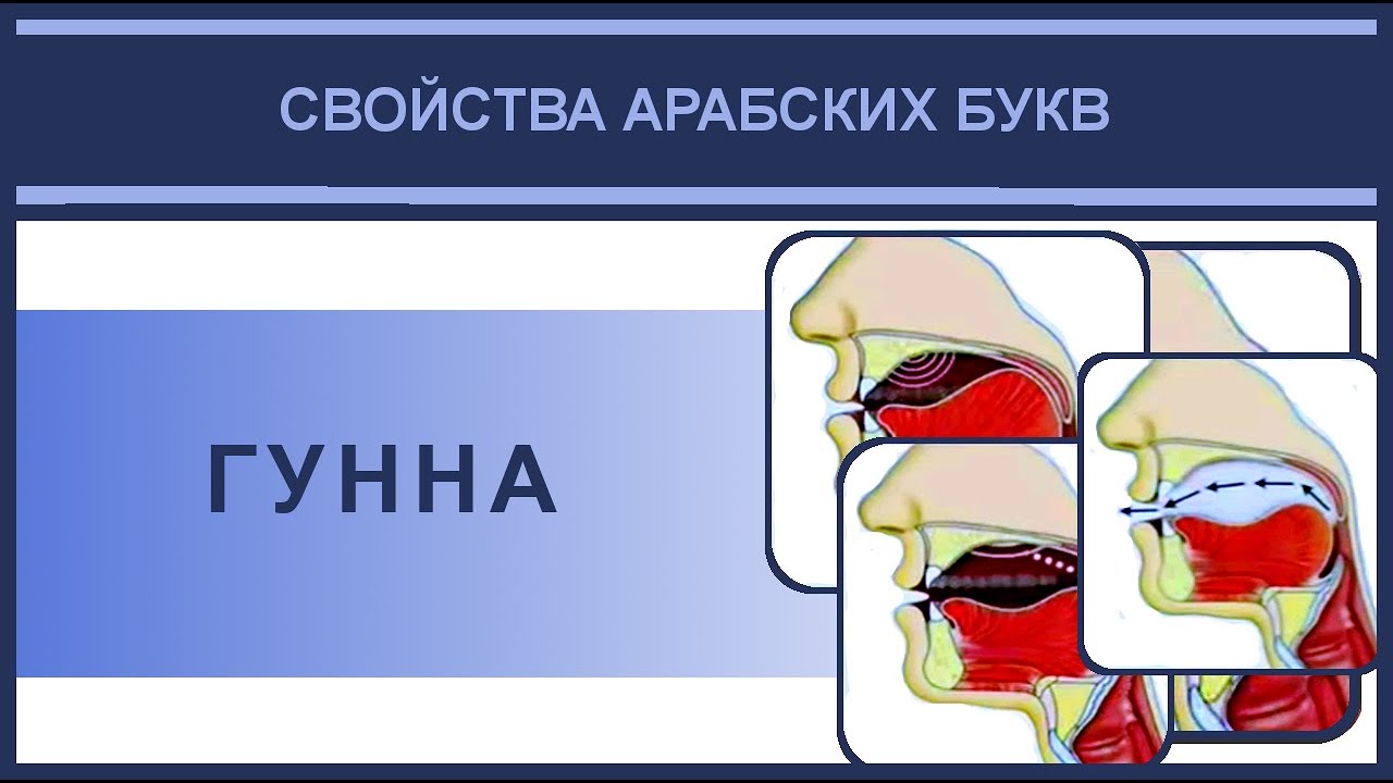 Айман Сувейд  19  Гунна как свойство (буквы  ن م ) (русские субтитры)