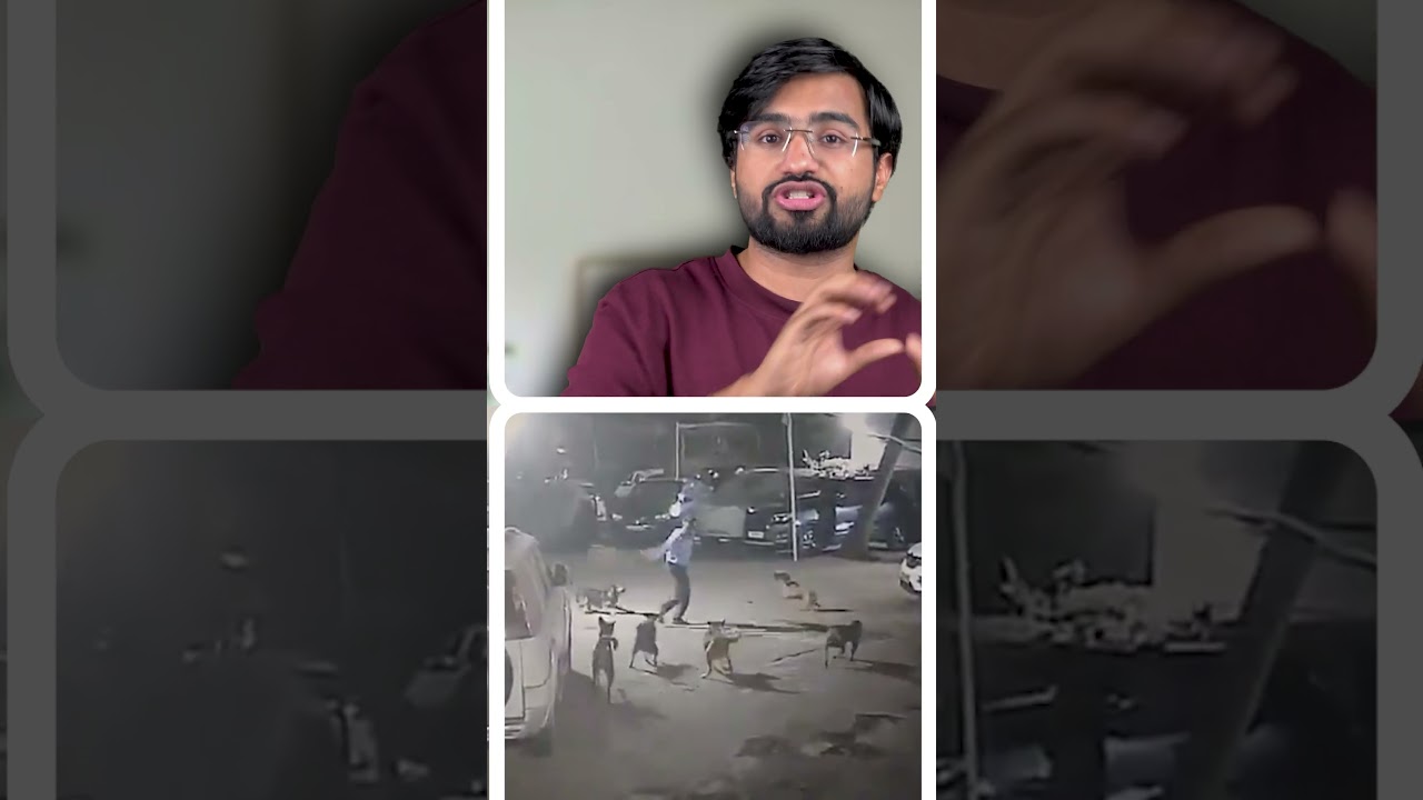 Dog lovers, isn't it too much? 🐶 || #shorts #youtubeshorts