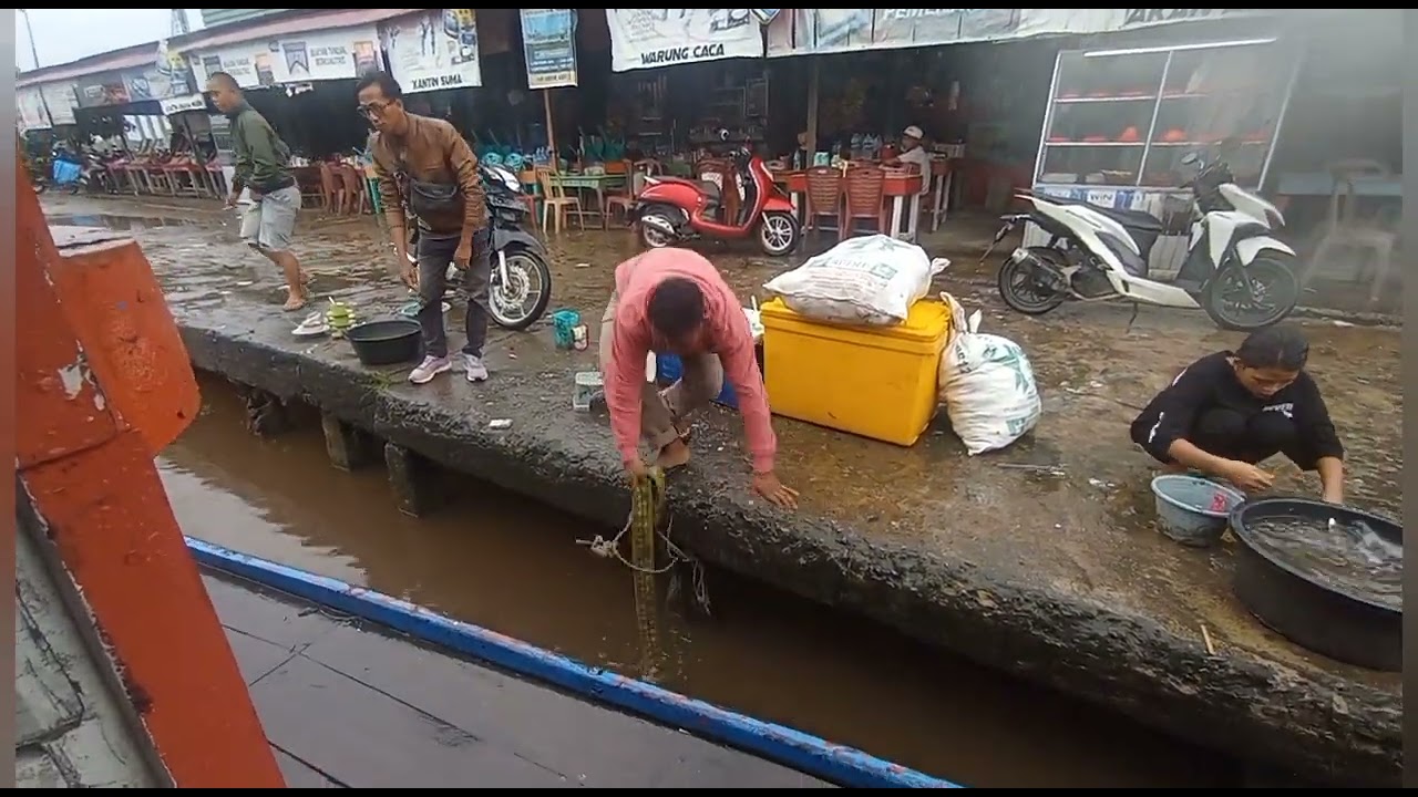 Perjalanan Kapal Klotok Telok Batang- Rasau Jaya