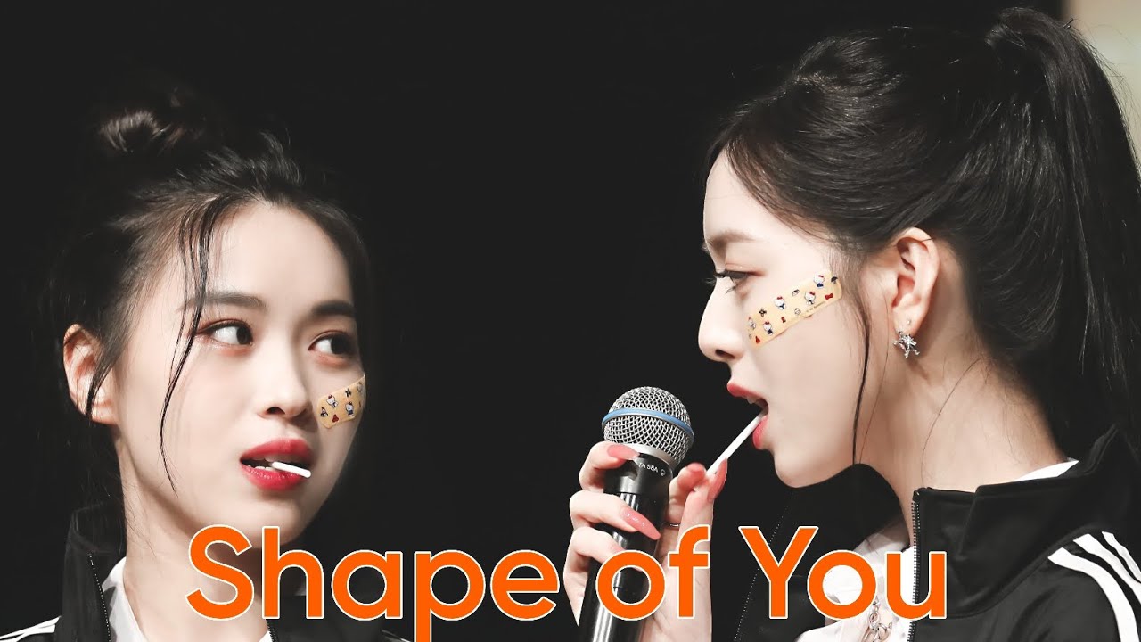 2shin - Shape of You [FMV]