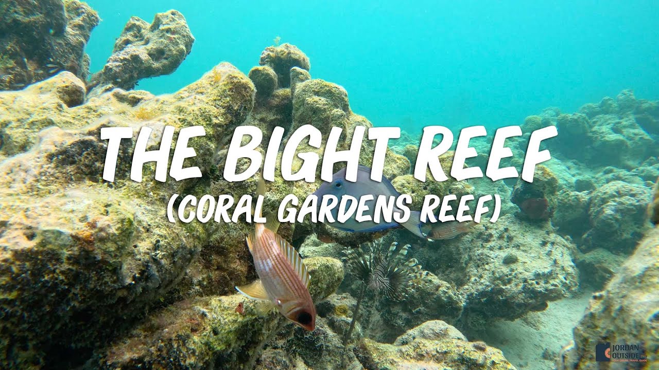 Snorkeling The Bight Reef (Coral Gardens Reef), Providenciales, Turks and Caicos