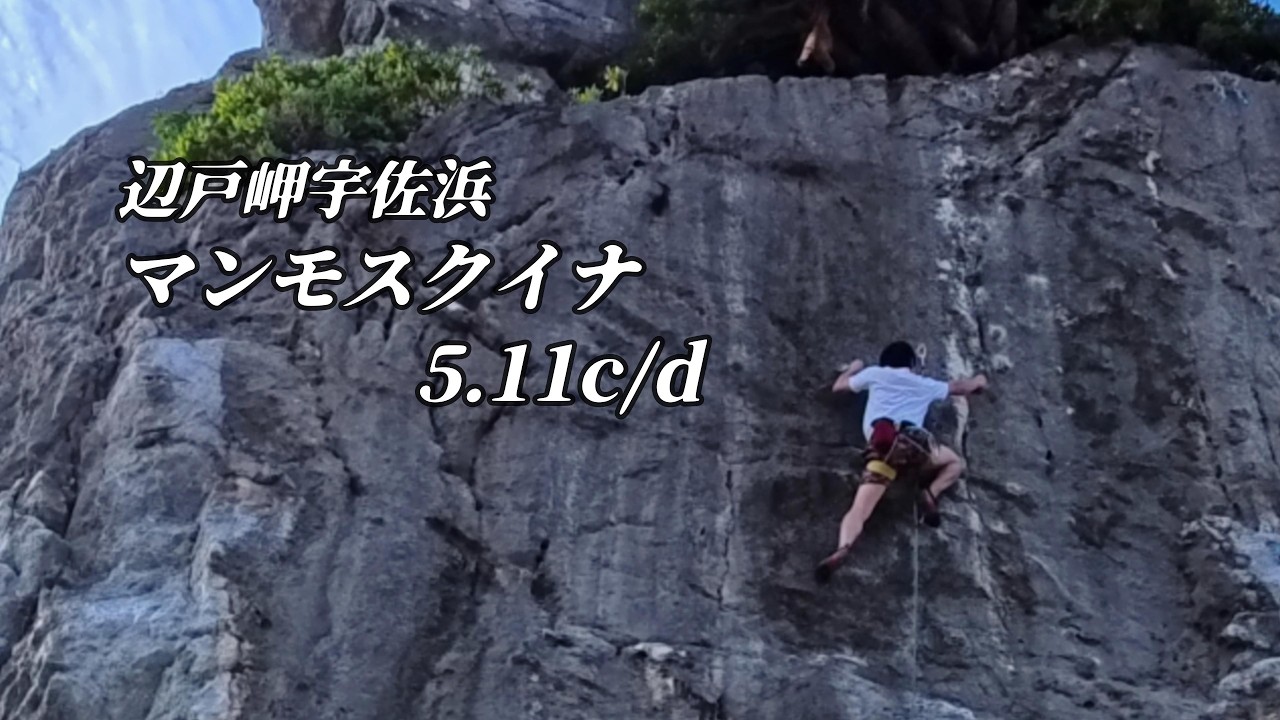 マンモスクイナ　5.11c/d　辺戸岬宇佐浜