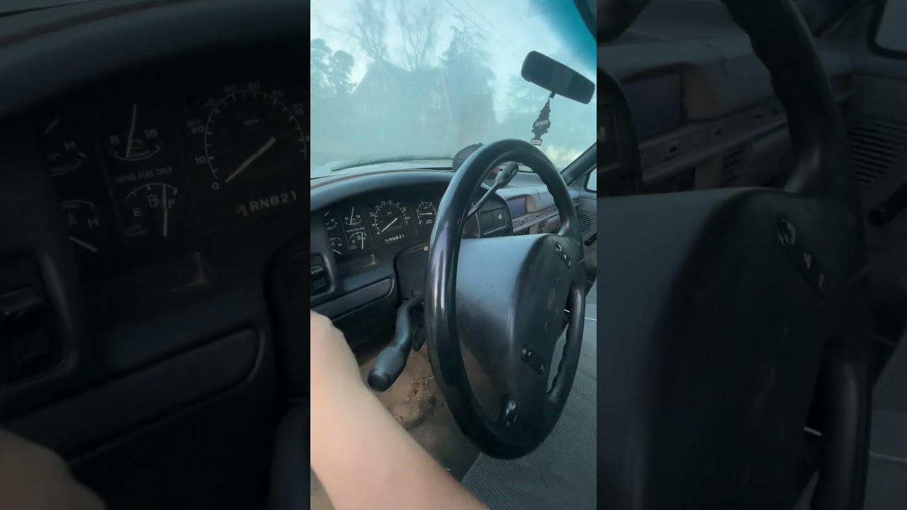 7.🌲Cold start day 36! 