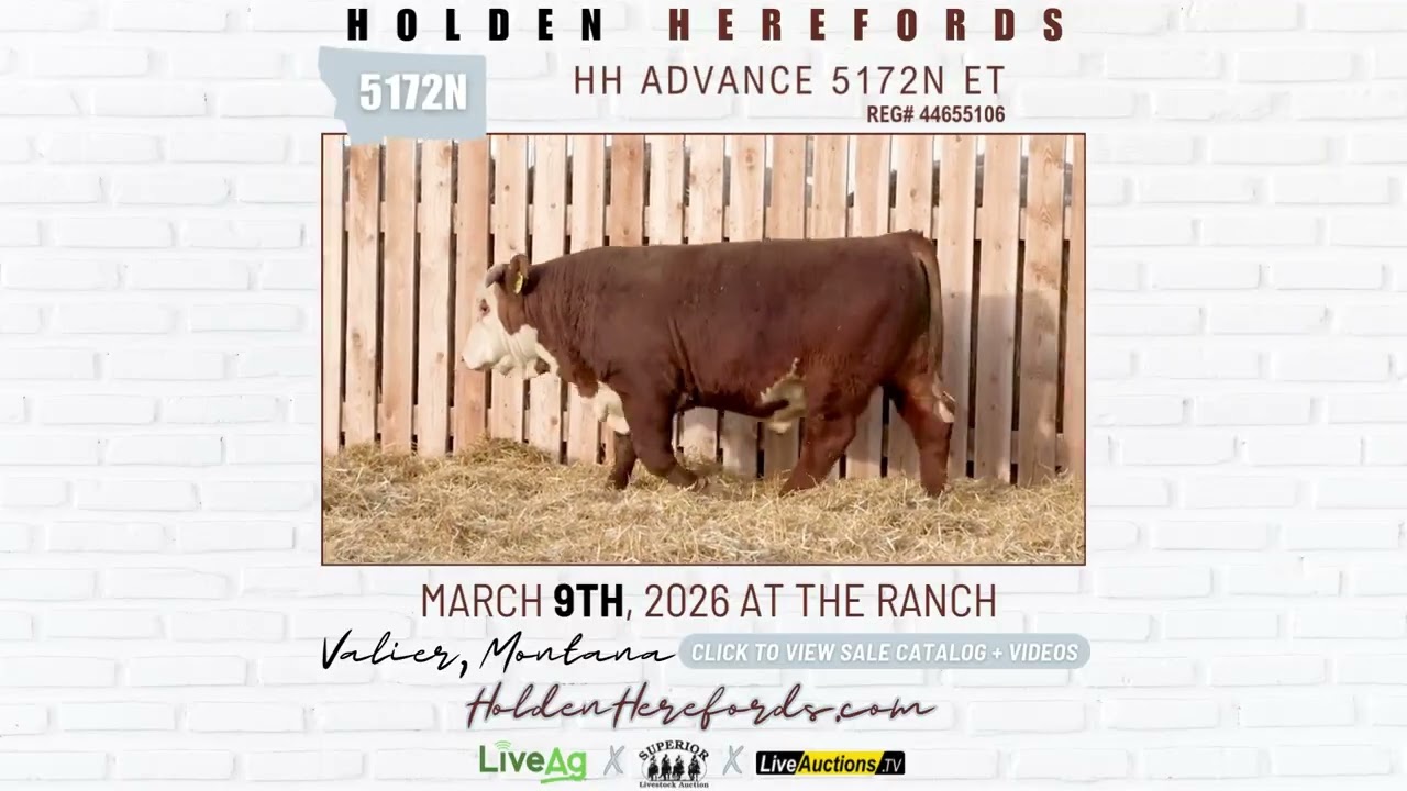 Holden Herefords | March 9, 2026