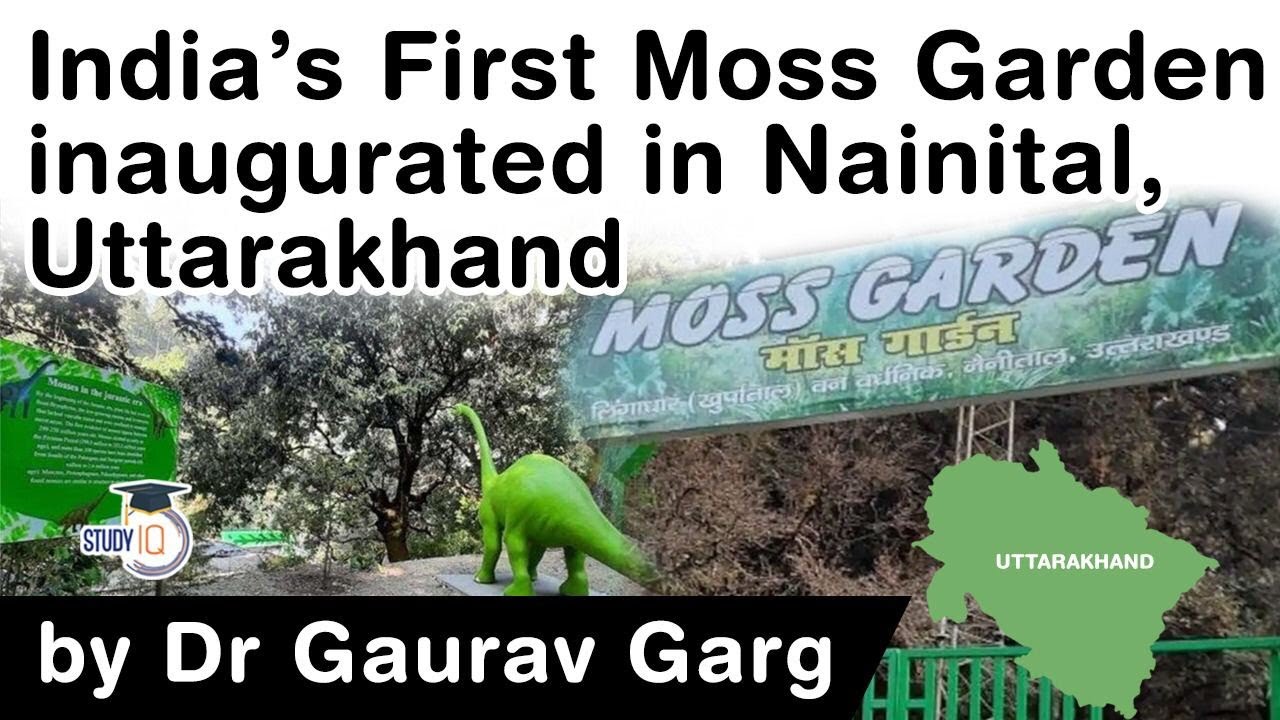 India's First Moss Garden opens in Nainital, Uttarakhand - What are mosses & why are they important?