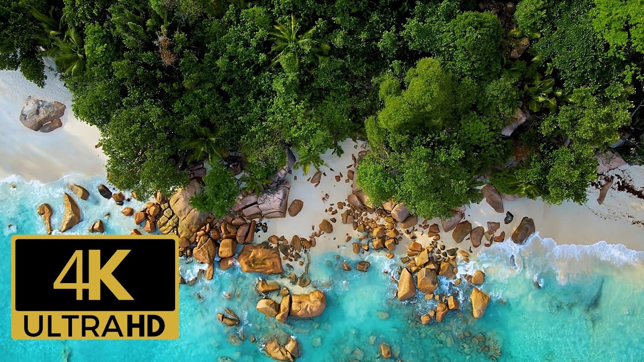 4K UHD Beach Ambiance | Overhead View of Carribean Tropical Island 🌴