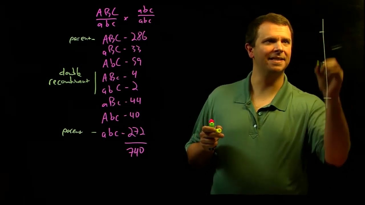 Mapping genes with a three point testcross