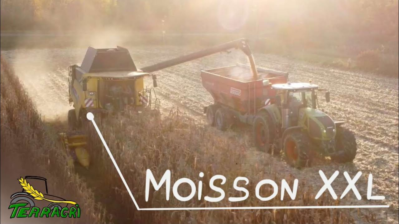 Moisson de maïs 2021 dans la plaine de la Garonne | New Holland CR | Claas | Perard Interbenne