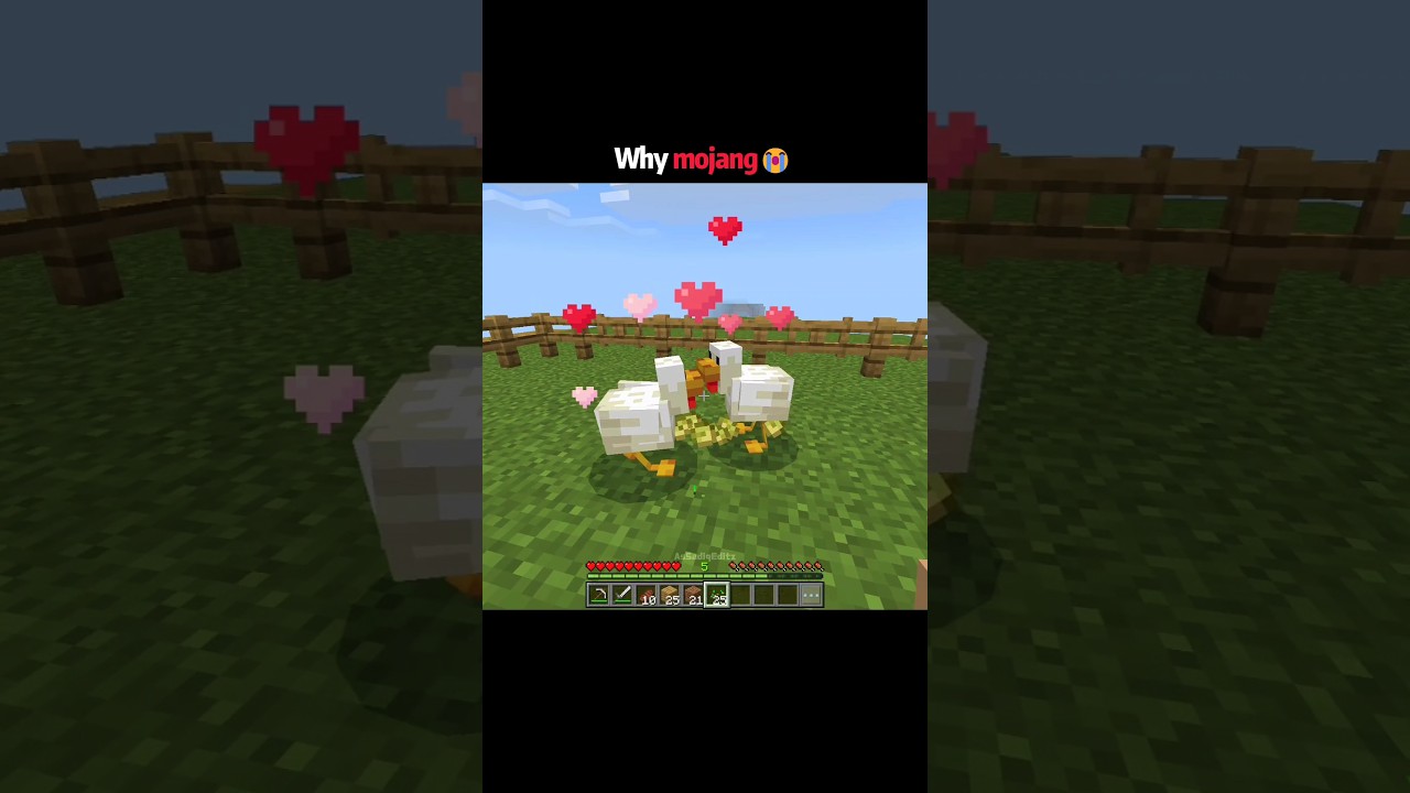Minecraft chicken moments
