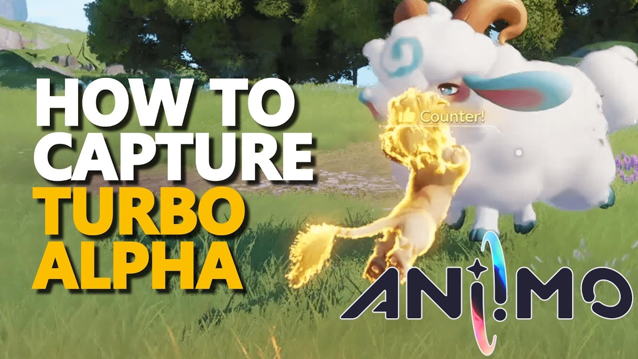 How to capture Turbo Alpha Aniimo