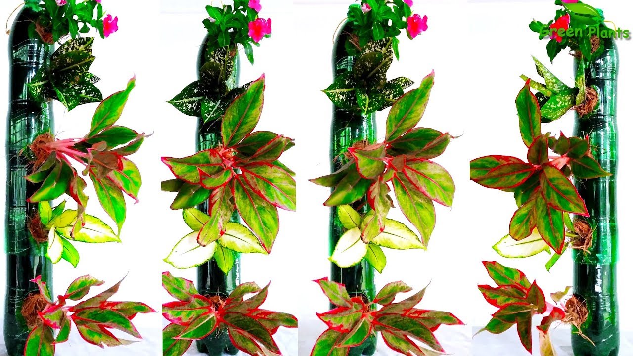 Plastic Bottles Vertical Garden at Home | Plastic Bottles Tower Garden on Wall//GREEN PLANTS