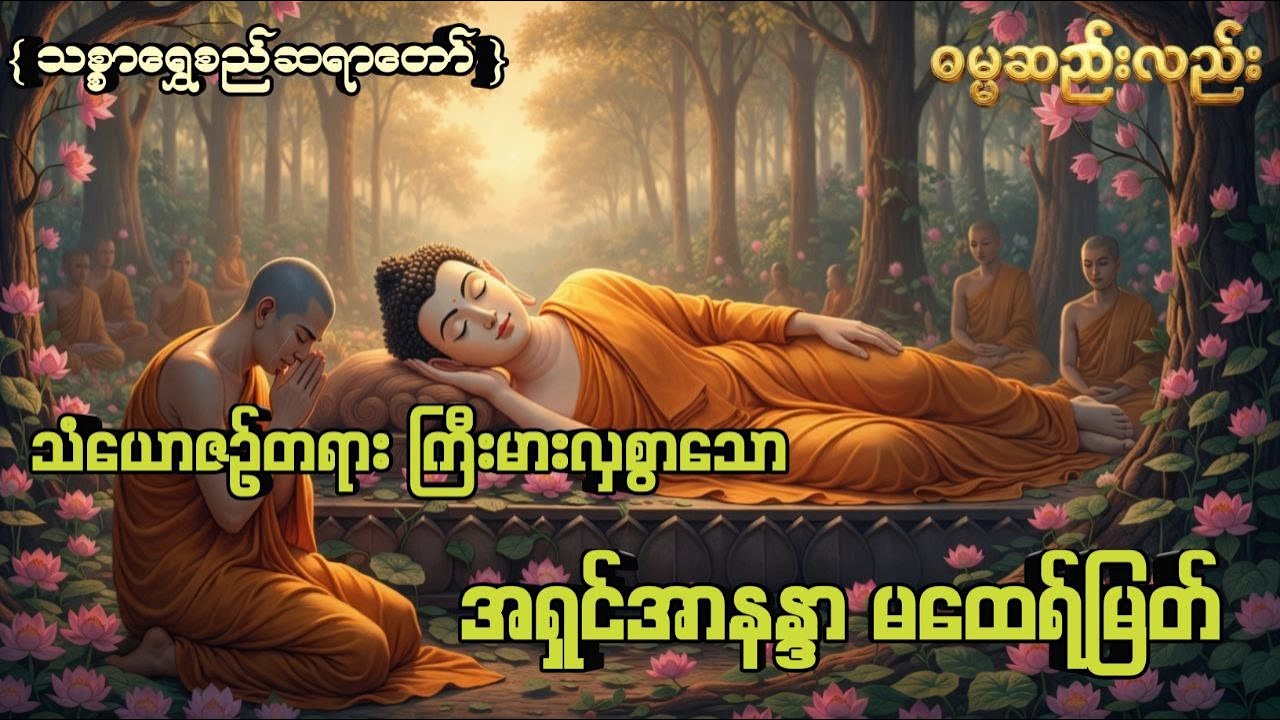 မြတ်စွာဘုရားအပေါ် သံယောဇာဥ်အလွန်တရာကြီးမားလှသော အရှင်အာနန္ဒာ မထေရ်မြတ်အကြောင်း #သစ္စာရွှေစည်ဆရာတော်