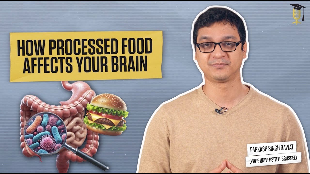 How processed food affects your brain