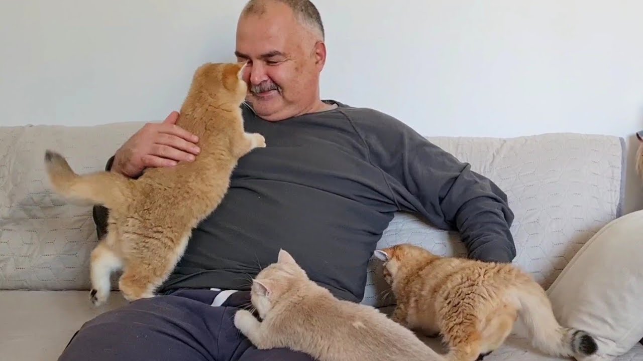 На Серьезного Мужчину напали Пушистые Милашки.😁🥰