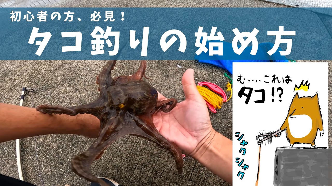 初心者の方、必見！タコ釣りの始め方・魅力を解説します。