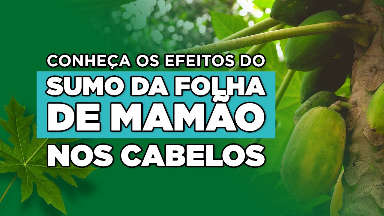 Conheça os efeitos do sumo da folha de mamão nos cabelos