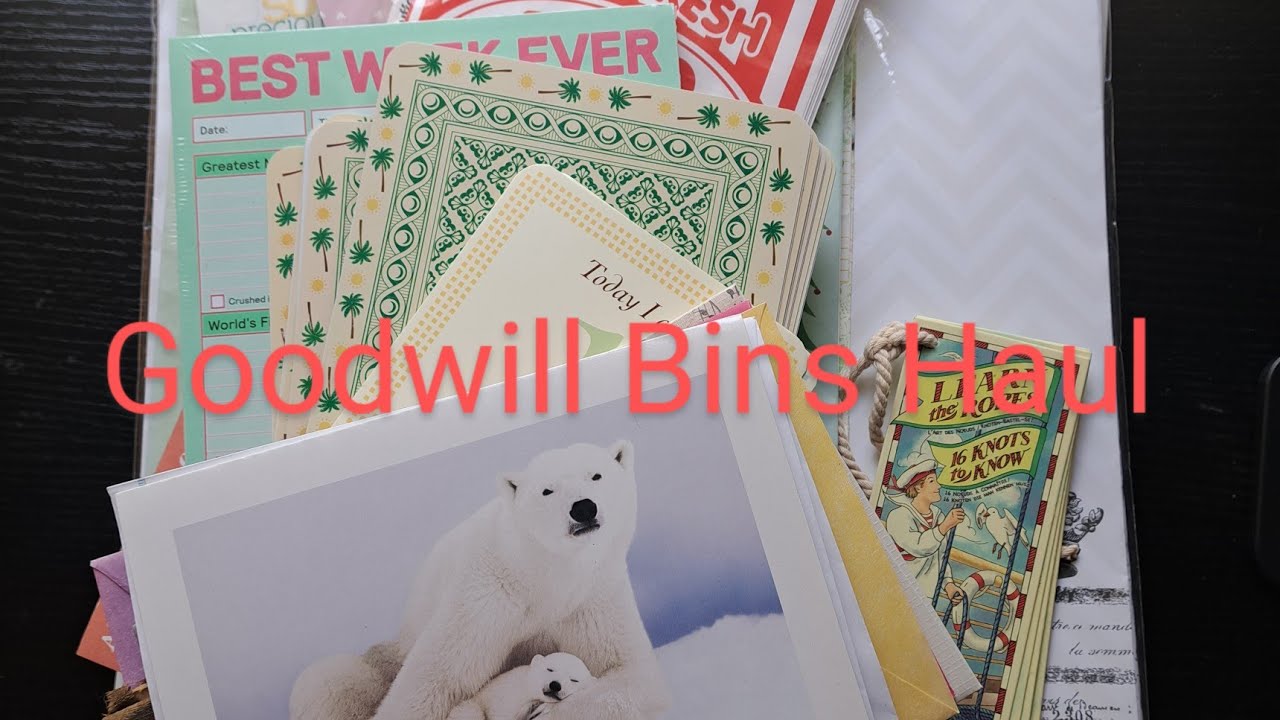 Goodwill Bins haul, Junk journal supplies. We are back in Michigan!