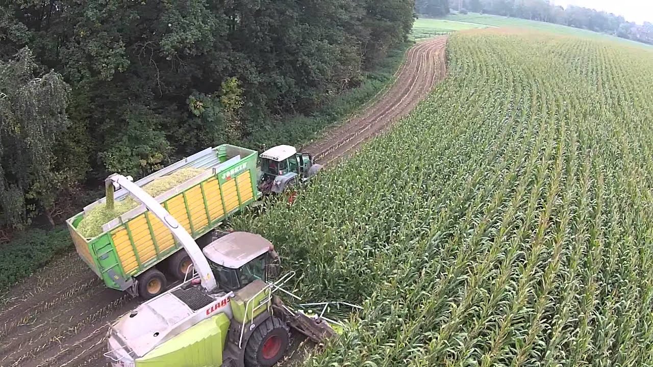 Maishäcksler Claas Jaguar 950