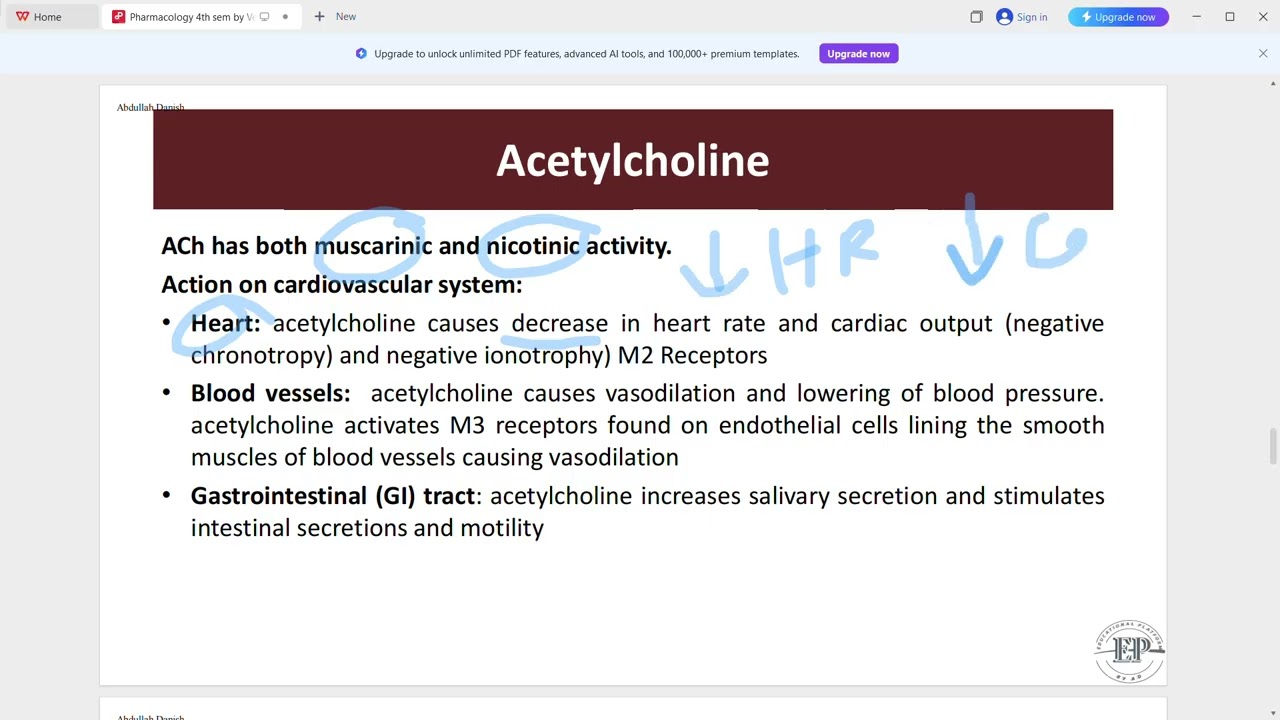 Cholinergic and anti cholinergic drugs