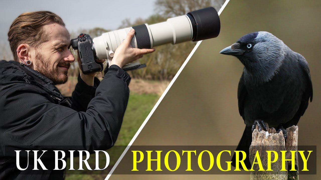 A Day Down My FAVOURITE Nature Reserve | UK Bird Photography