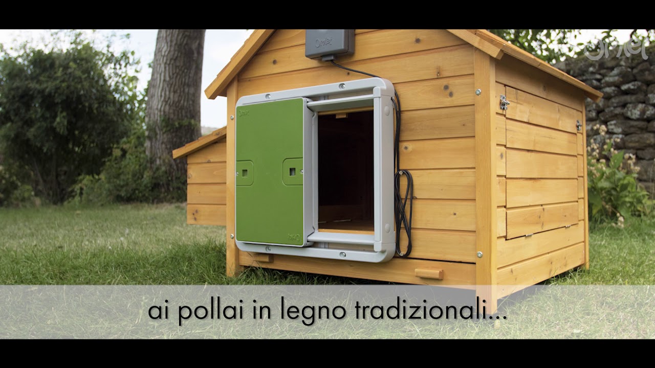 Sistema di Apertura Automatico Universale per Pollai | Omlet Italia