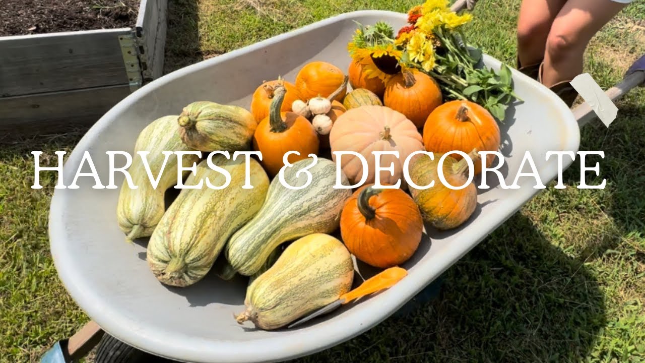 Pumpkin Harvest Day! Turning Our Garden Harvest Into Fall Decor!