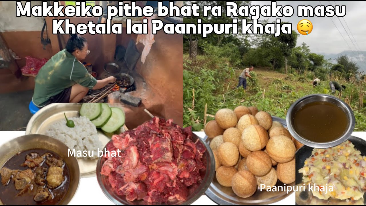 organic makkeiko bhat ani ragako masu cooking in firewood || Makkei katti falecha ta??