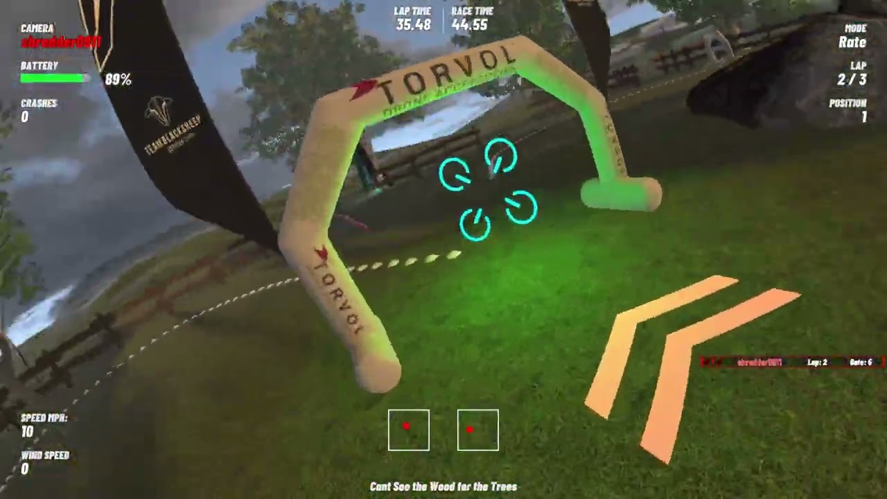 FPV Velocidrone - Cant See The Wood For The Trees