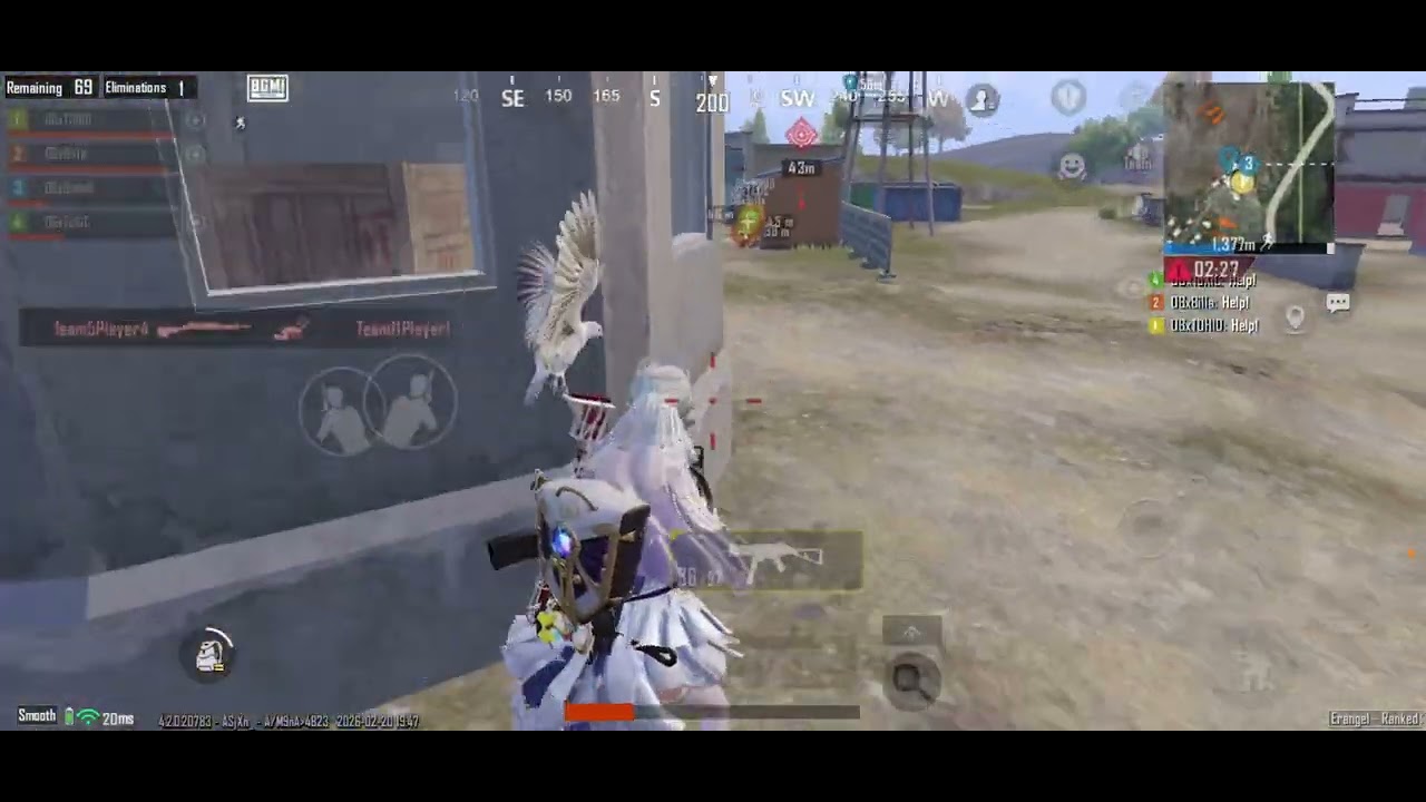 Clips 