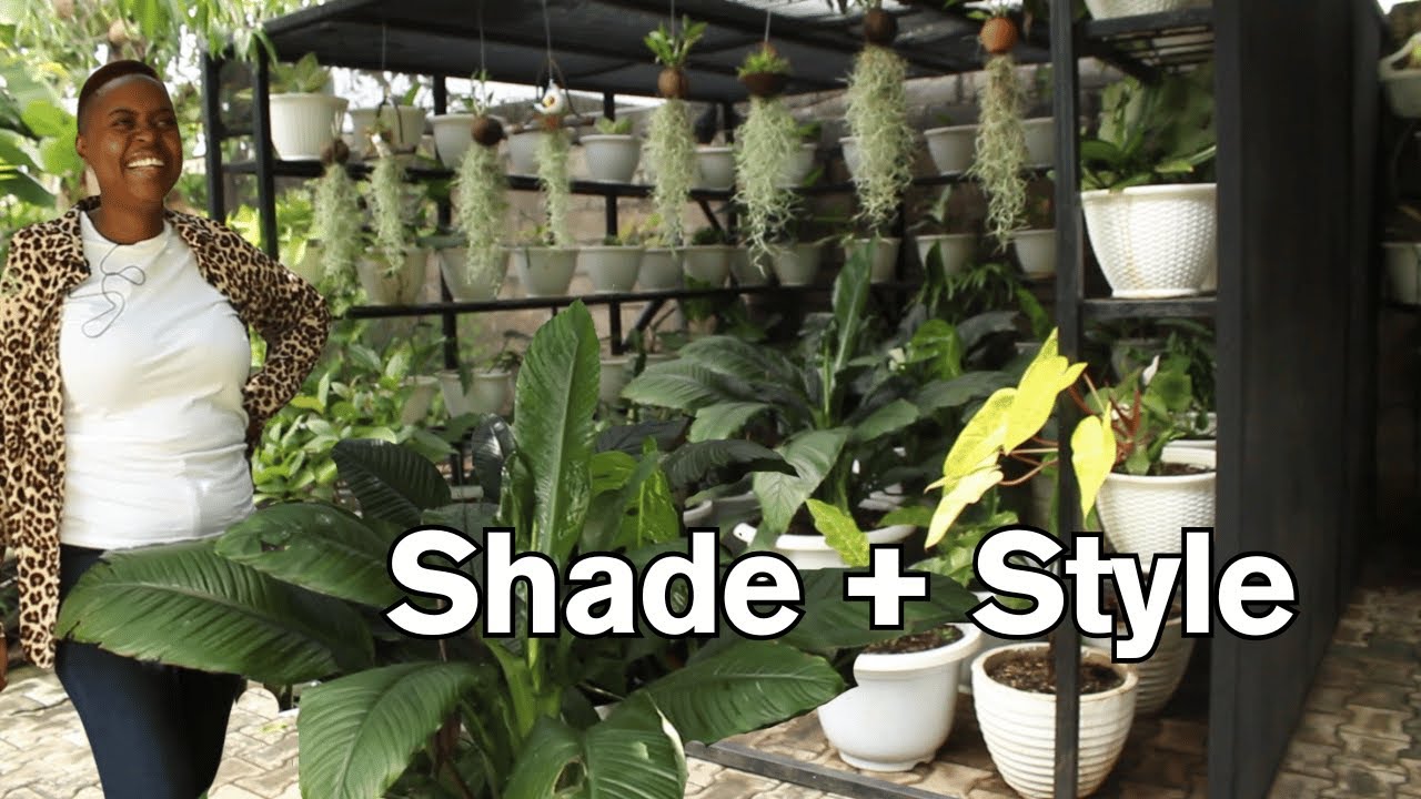 Bwalya’s Tropical Plant Enclosure – A Creative Solution for Harsh Heat!