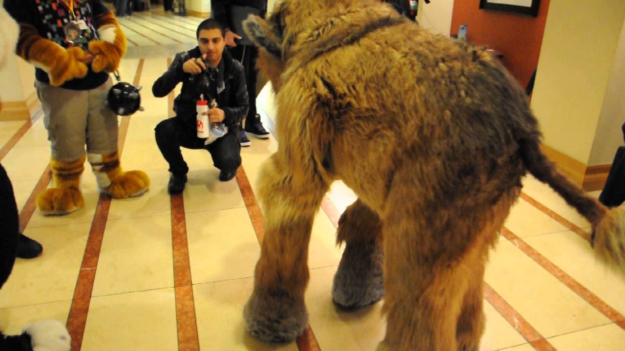 Further Confusion 2014 - Mammoth Quadsuit