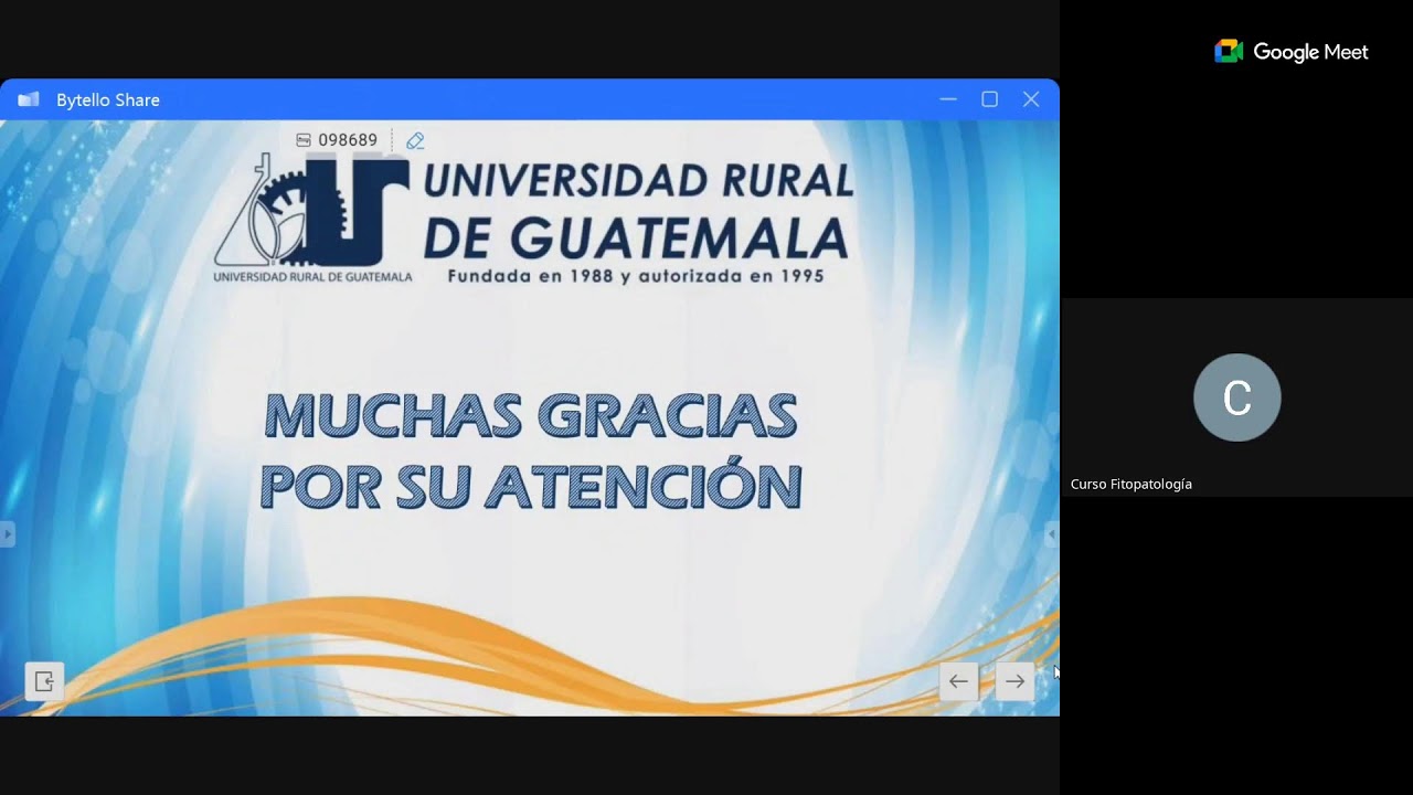 Semana 4, domingo