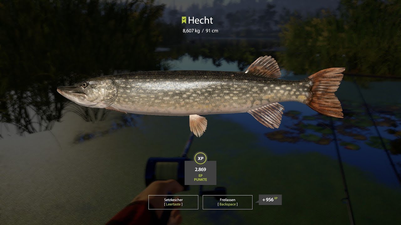 Russian Fishing 4. Hecht Gieren an der Alten Festung.