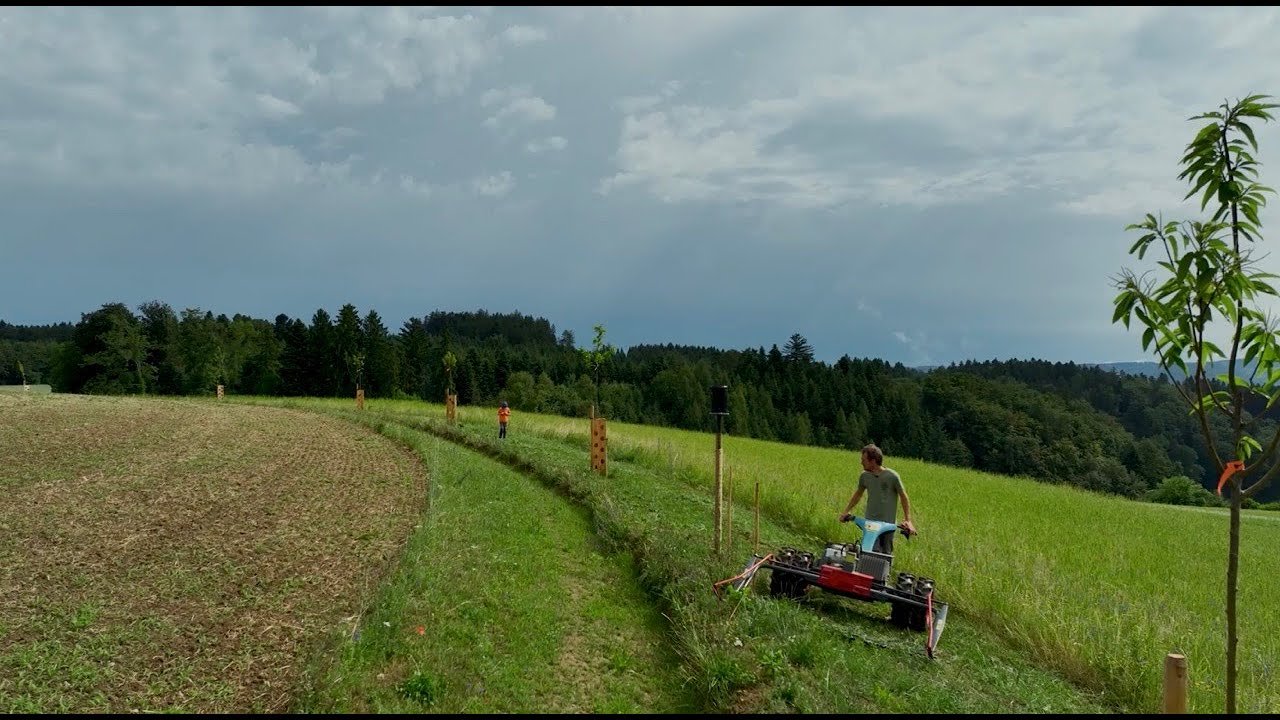 farmer's table #5 Naturgut Katzhof