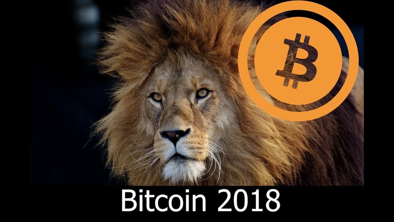 Whats Up With Bitcoin Price? Big Year For Bitcoin in 2018?