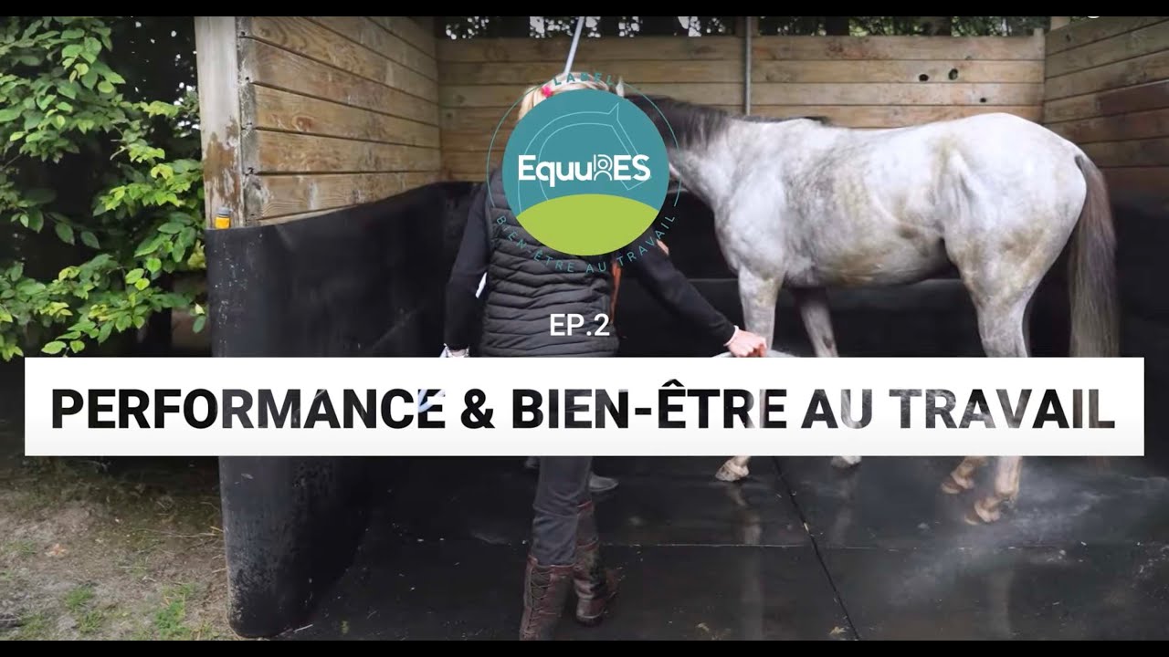 Websérie EquuRES Bien-être au travail EP 02 : Performance et bien-être au travail