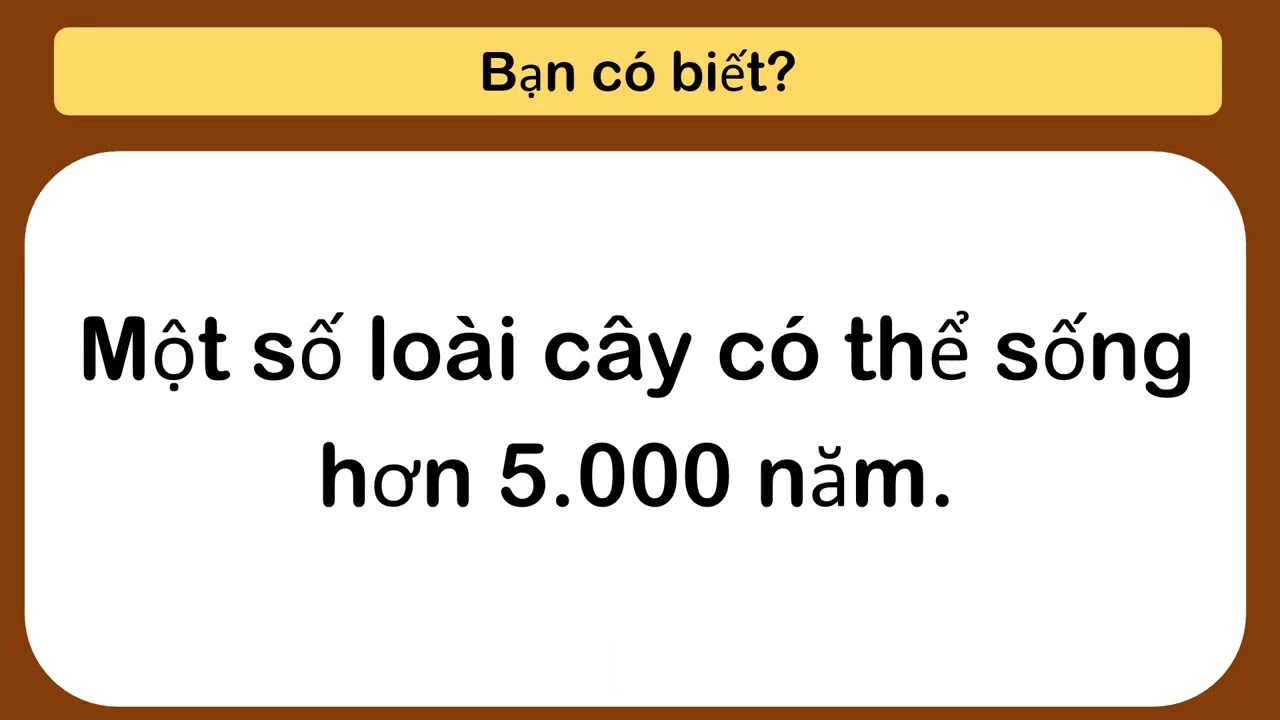 10 Câu Đố Hóc Búa Thử Thách Trí Não 🧠 Kèm Fun Facts Cực Kỳ Thú Vị