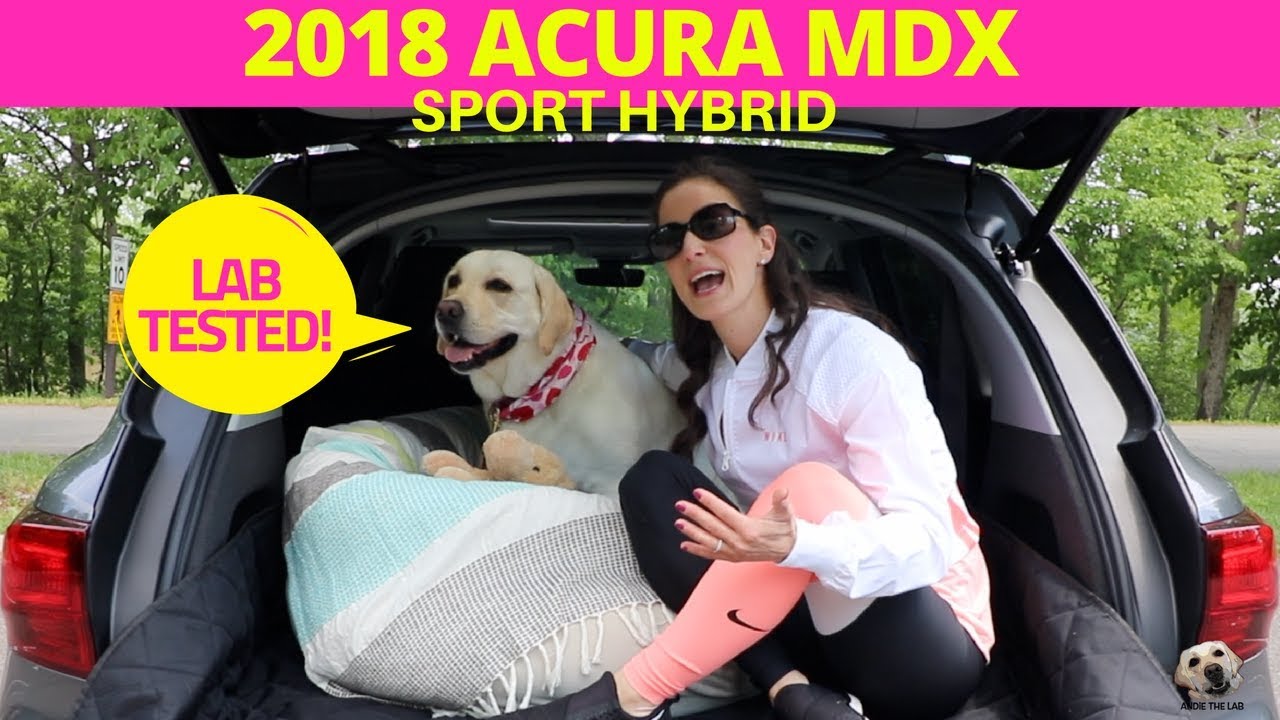 Acura MDX Sport Hybrid 2018: обзор от Andie the Lab! #Acura #MDX #AndietheLab