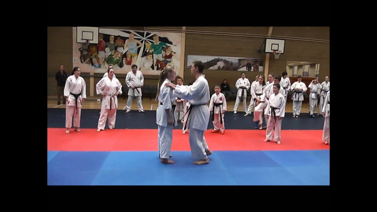 JUNIOR LEFEVRE in Ireland - Kumite Seminar