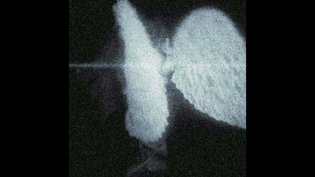 [FREE] EXPERIMENTAL BIGBABYGUCCI + SAM02 TYPE BEAT - 