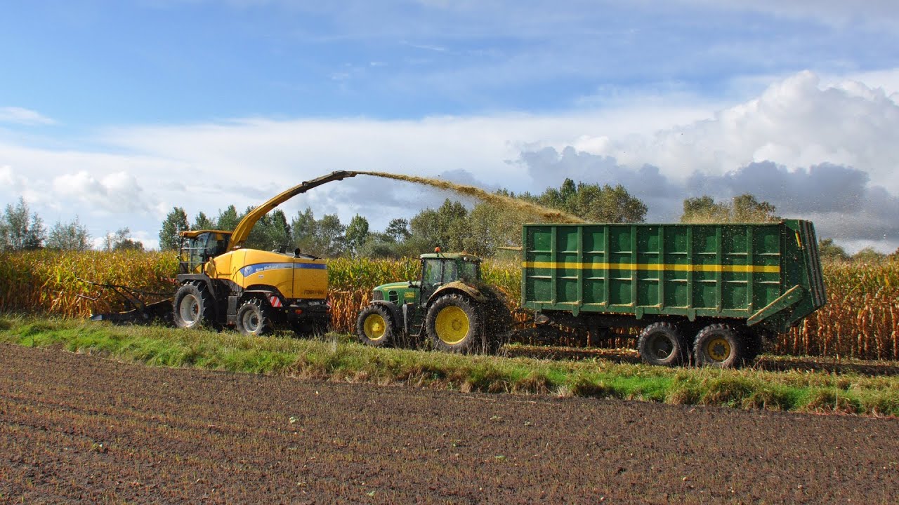 New Holland FR9080 - Loonw. Meganck-Haenebalcke - mais 2013