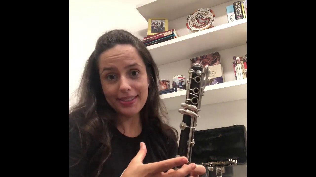 Partes do Clarinete por Amanda Müller - NEOJIBA