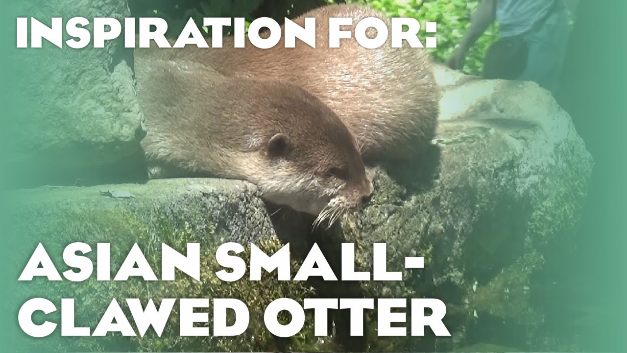 30+ Real Small-Clawed Otter Habitats! (Planet Zoo Inspiration)