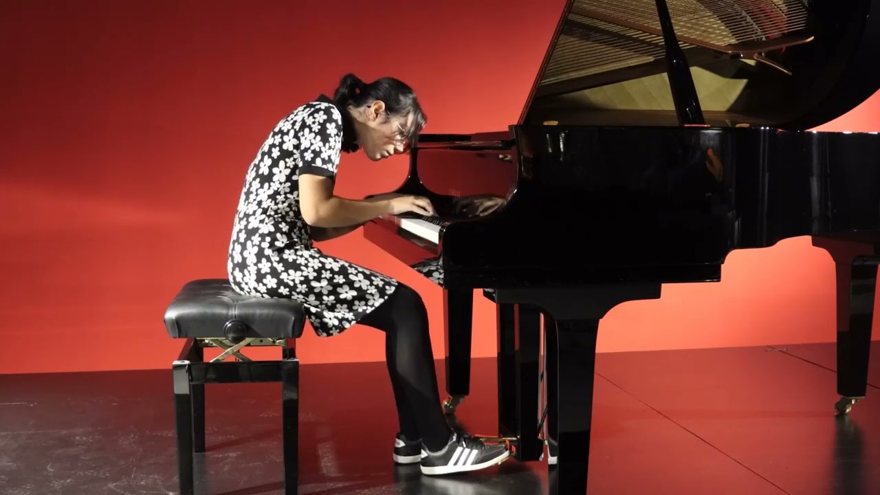 R.Schumann Fantasiestücke Op12 No.5 İn der Nacht -  Arya Su Gülenç #schumann #piano #classicmusic