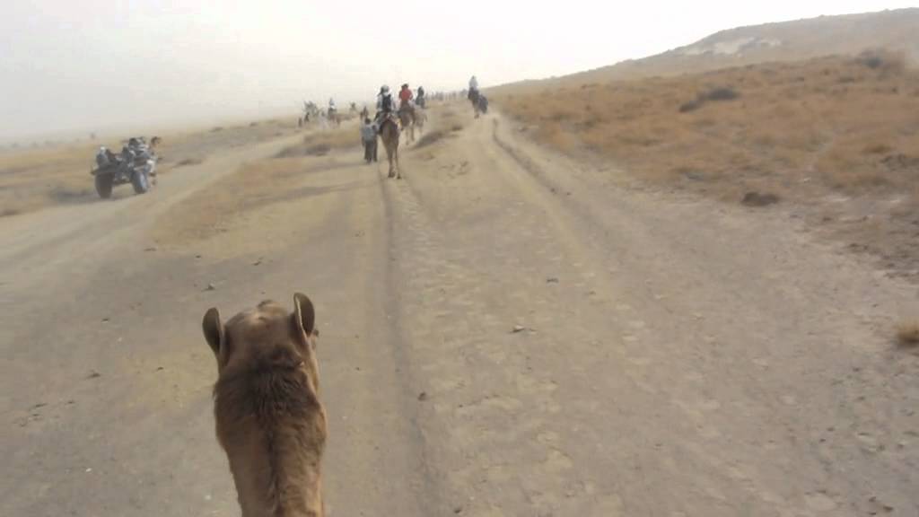 Camel ride into the Thar Desert, Rajasthan. March 2012