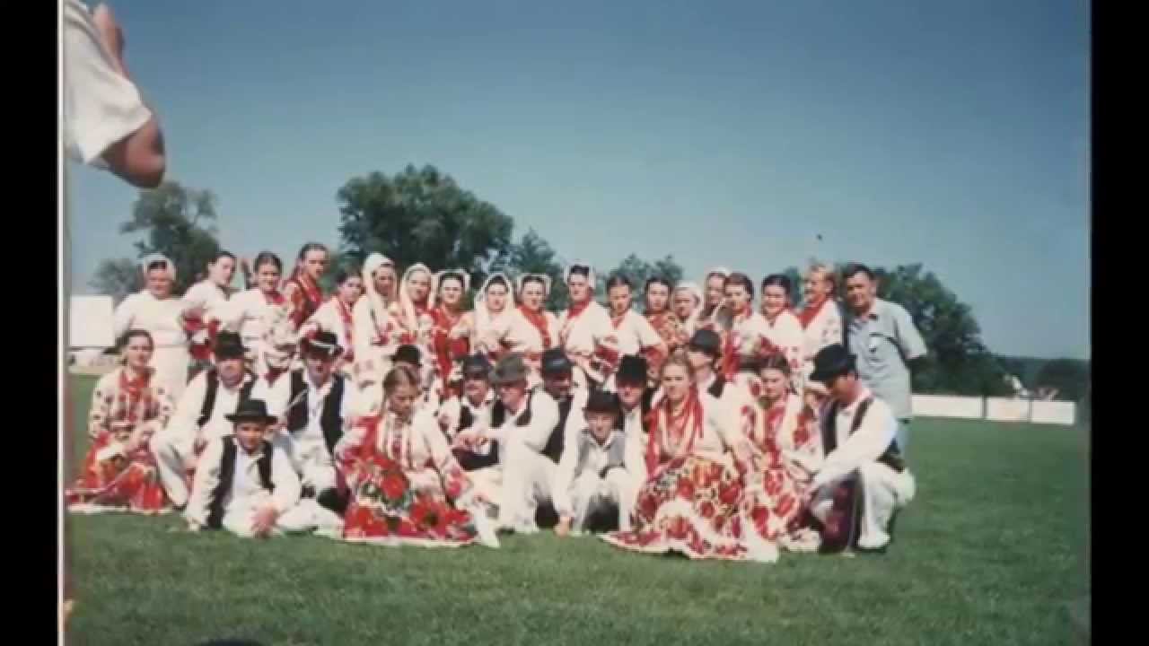 BRESTOVLJANI -  Lepe naše sinokoše