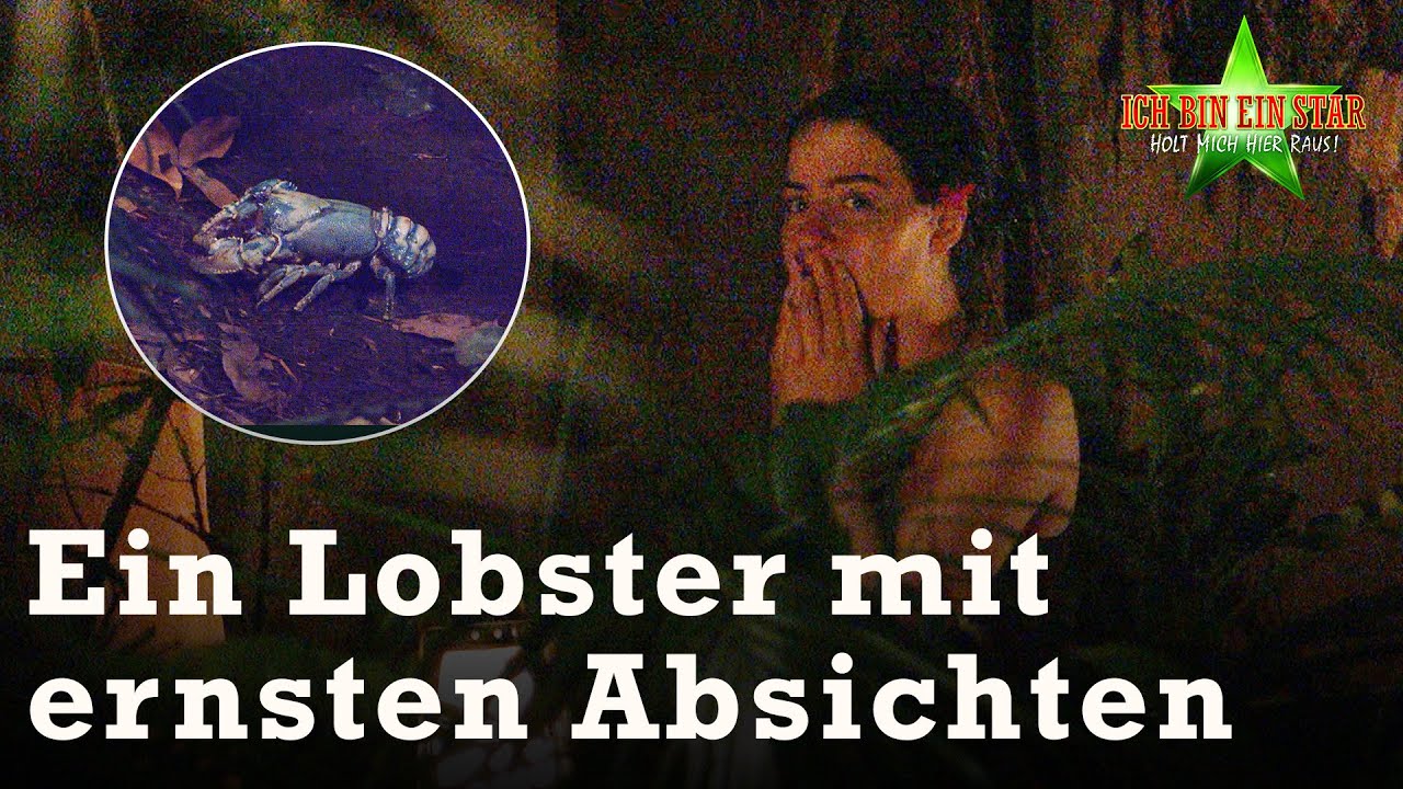 Leyla zwischen Satisfyer und Schreckmomenten 😳 | Dschungelcamp 2024