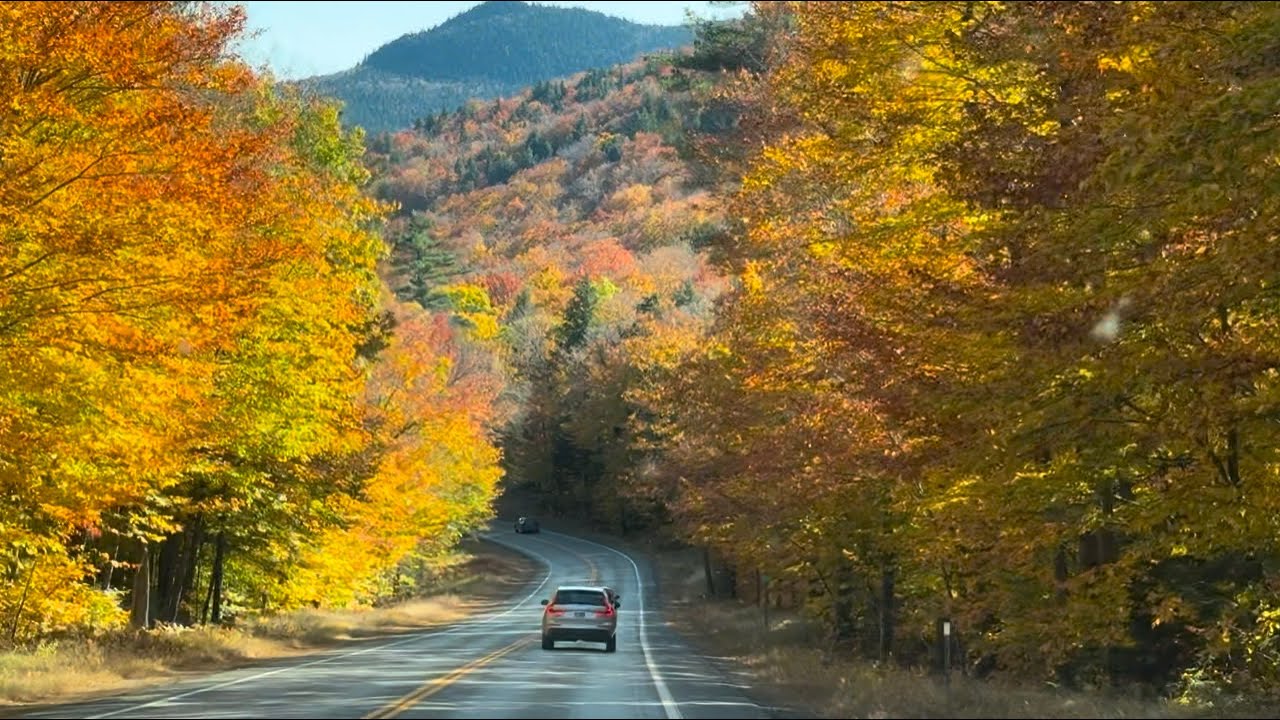 Road to Fall Leaves Peeping | New Hampshire