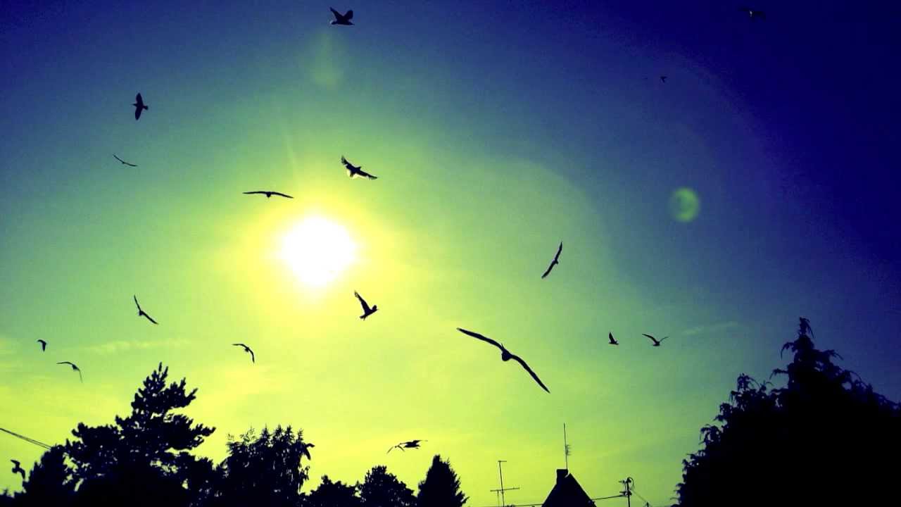 Kichy张骐骥 - 